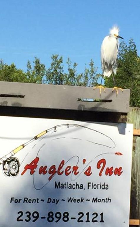 Angler'S Inn Matlacha Εξωτερικό φωτογραφία